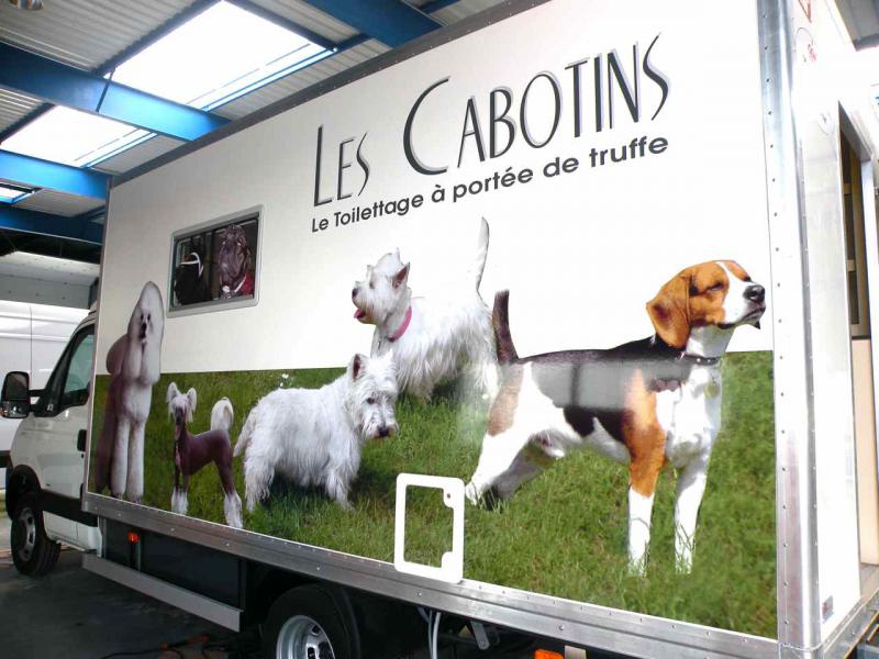 Camion services canins